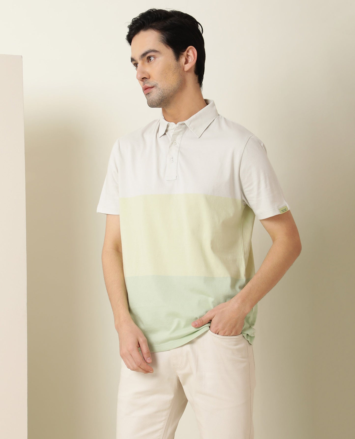 Rare Rabbit Blocky Green Cotton Fabric Collared Neck Color Block Half Sleeve Polo