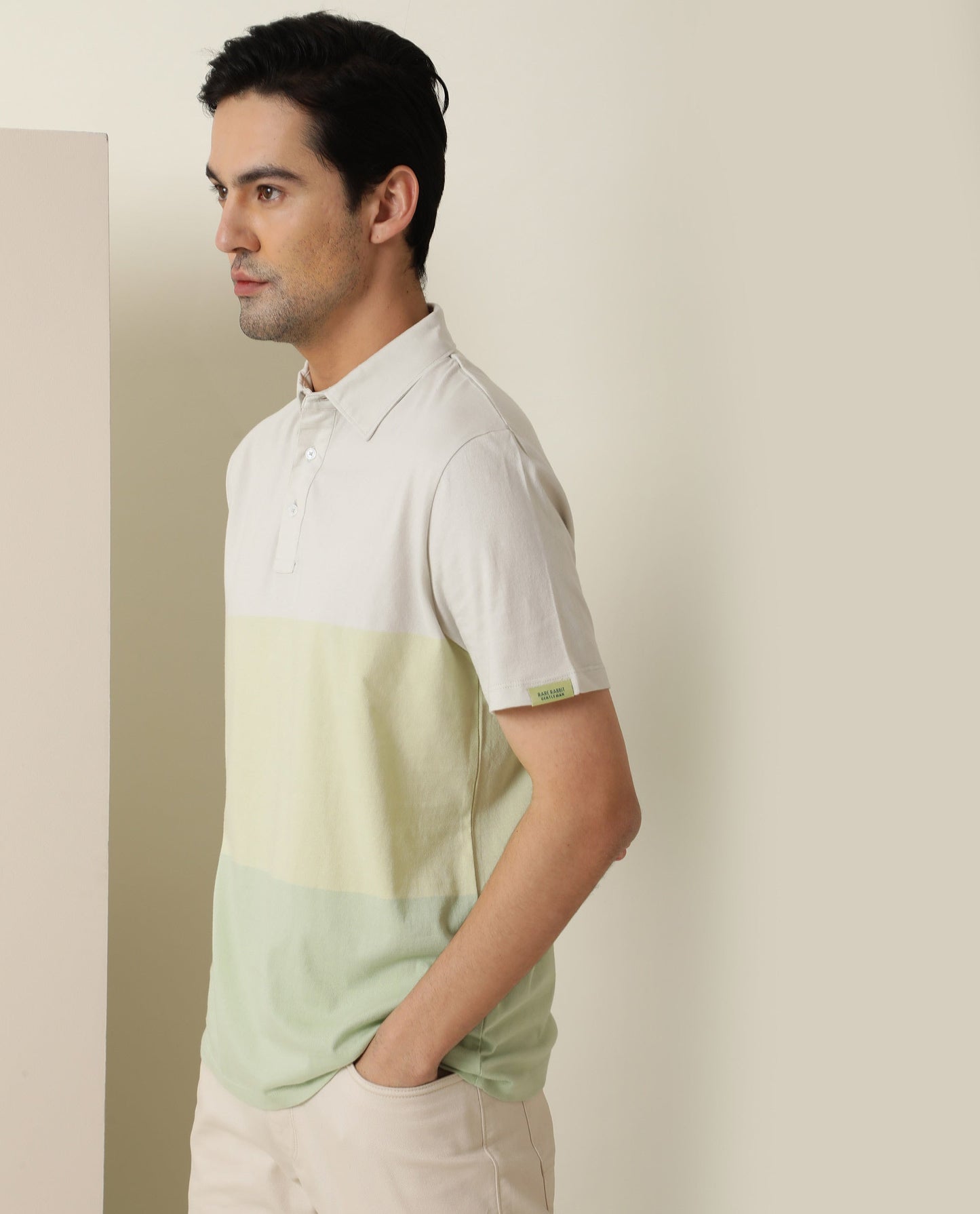 Rare Rabbit Blocky Green Cotton Fabric Collared Neck Color Block Half Sleeve Polo