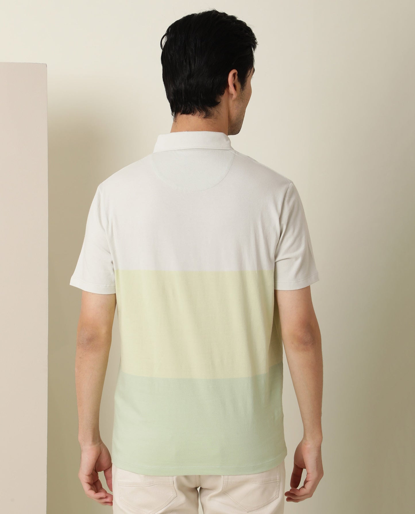 Rare Rabbit Blocky Green Cotton Fabric Collared Neck Color Block Half Sleeve Polo