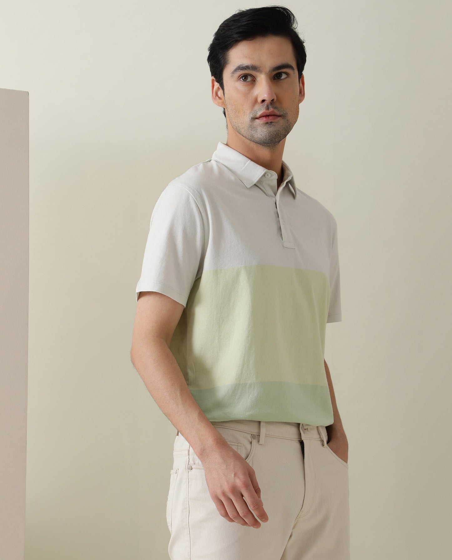 Rare Rabbit Blocky Green Cotton Fabric Collared Neck Color Block Half Sleeve Polo