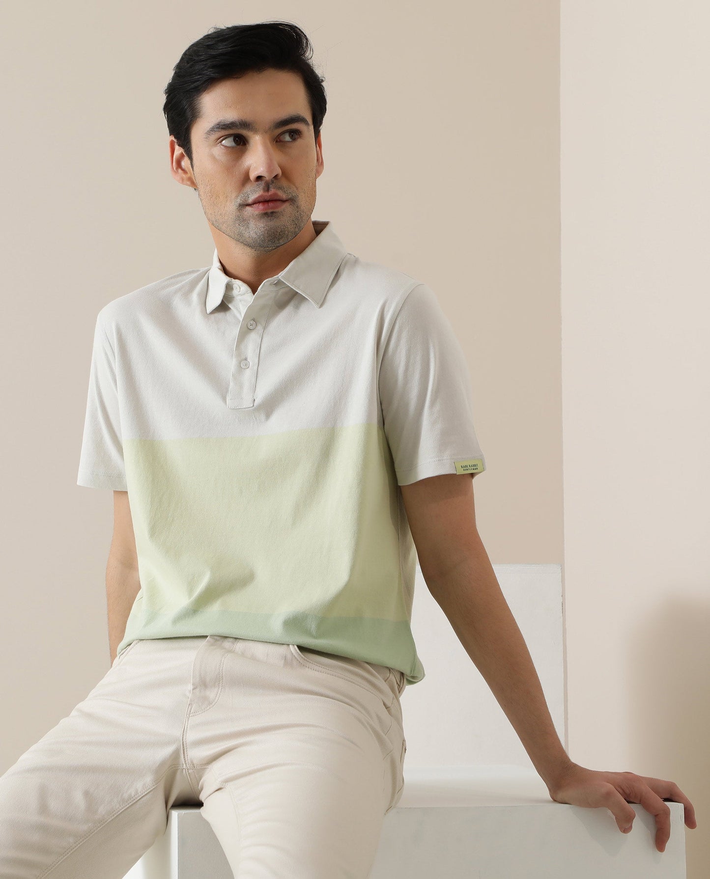 Rare Rabbit Blocky Green Cotton Fabric Collared Neck Color Block Half Sleeve Polo