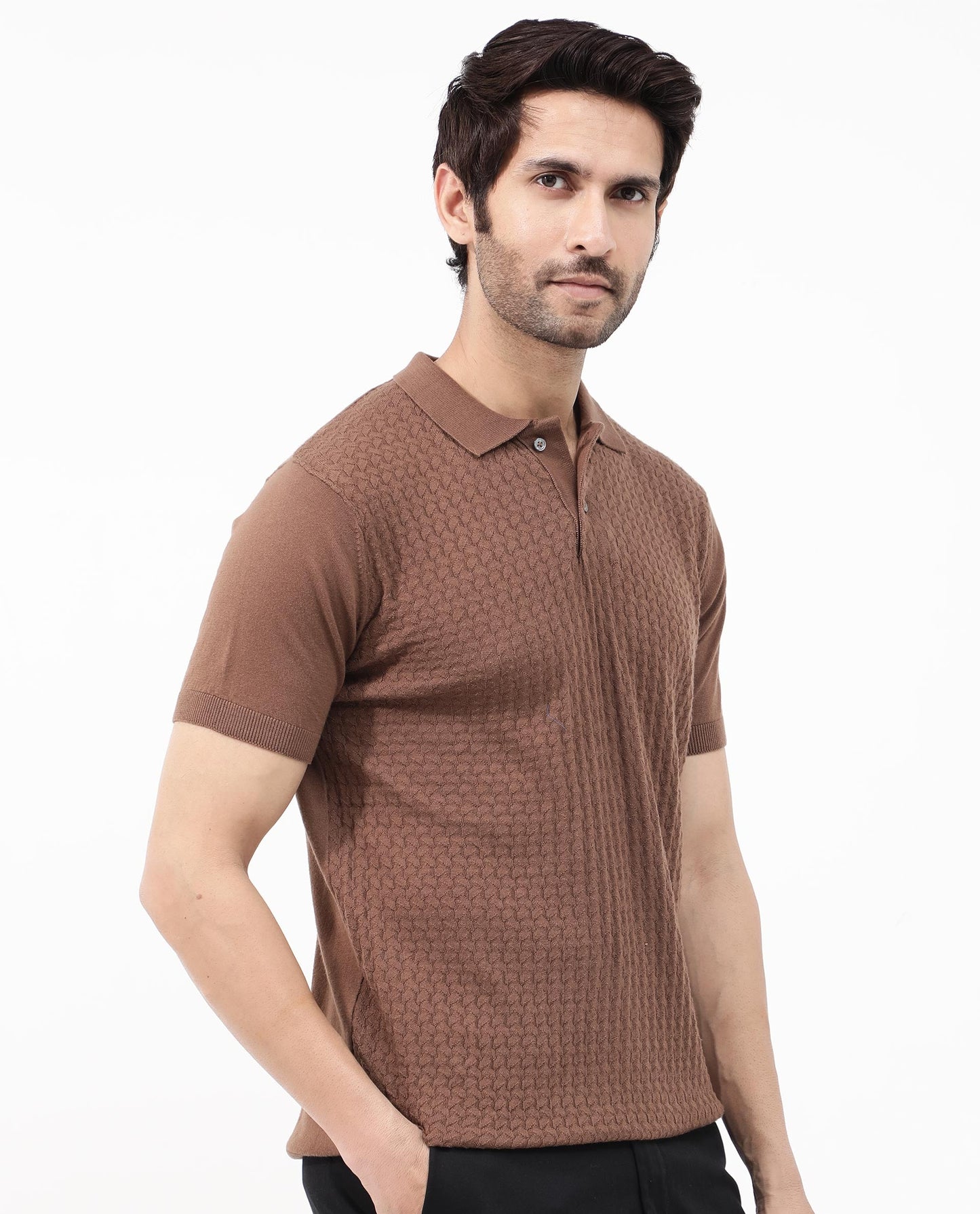 Rare Rabbit Men's Lincos Brown Cotton Fabric Collared Neck Half Sleeves Textured Polo T-Shirt