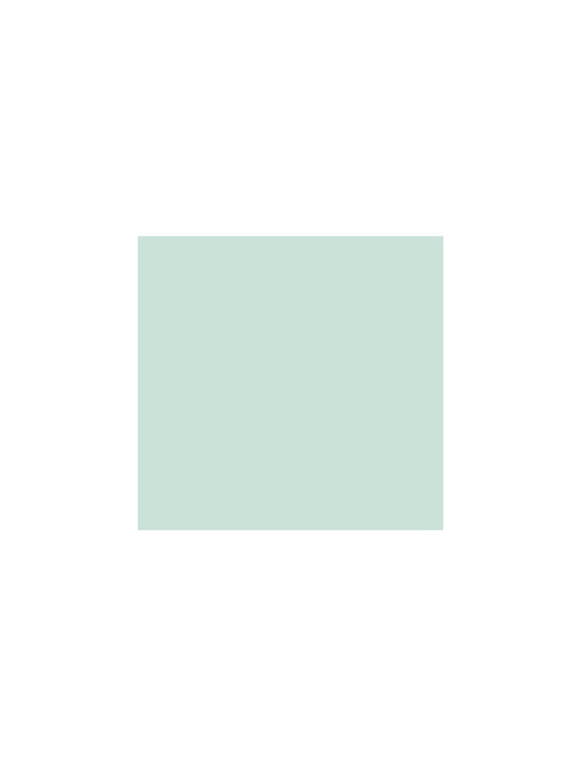 HOP Kids Mint High-Rise Denim Shorts