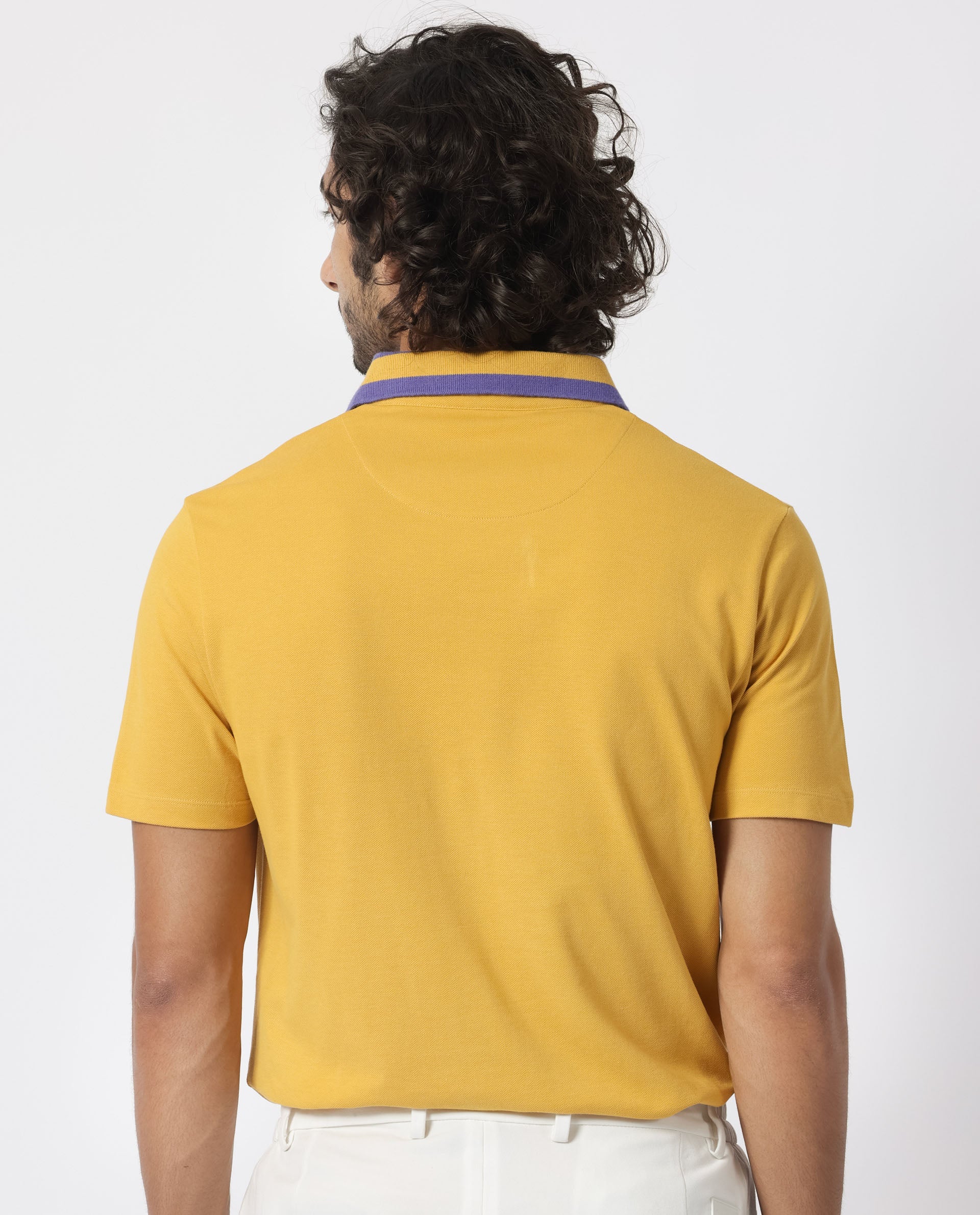 Rare Rabbit Men's Divide Mustard Cotton Fabric Striped Collar Half Sleeves Polo T-Shirt