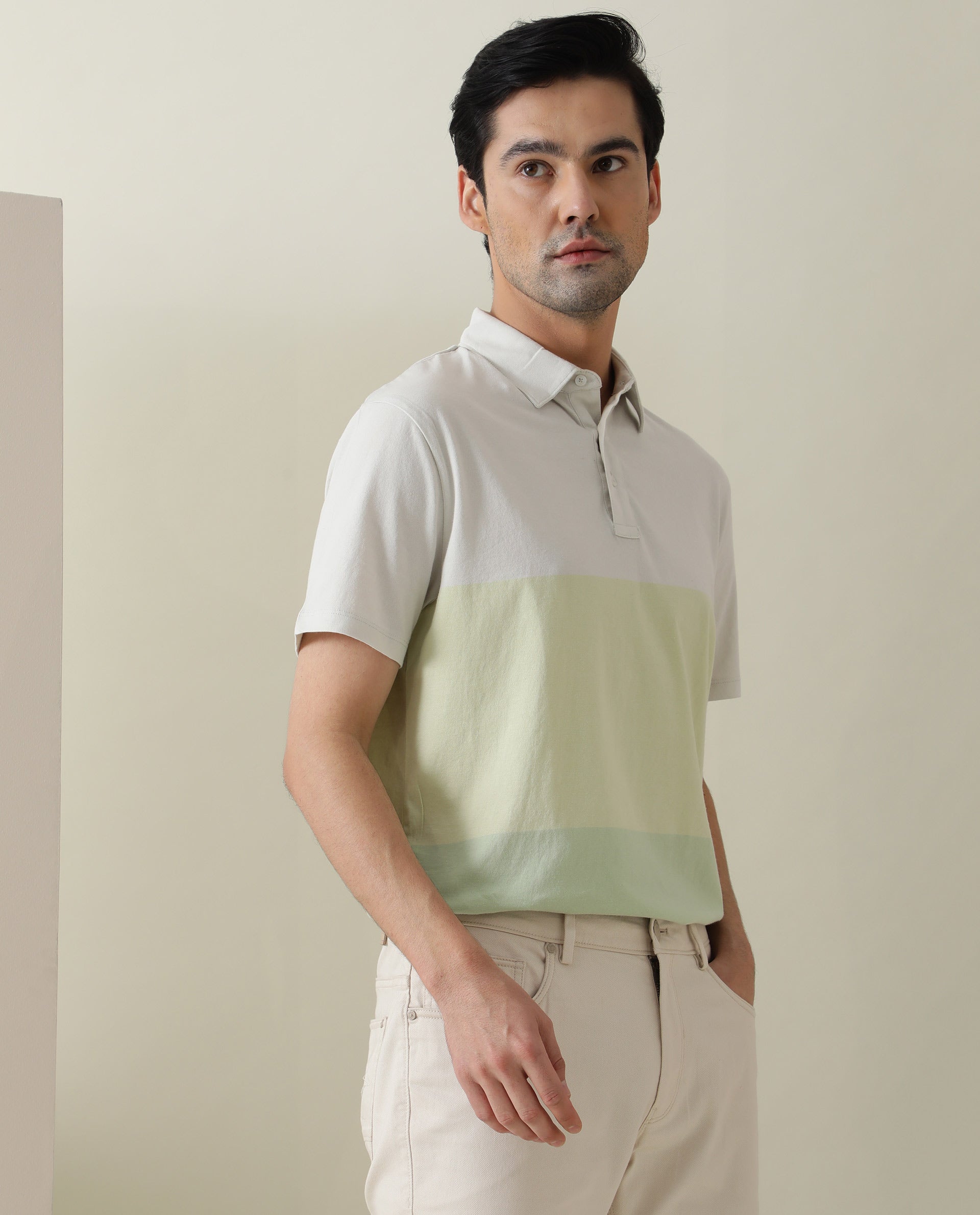 Rare Rabbit Blocky Green Cotton Fabric Collared Neck Color Block  Half Sleeve Polo