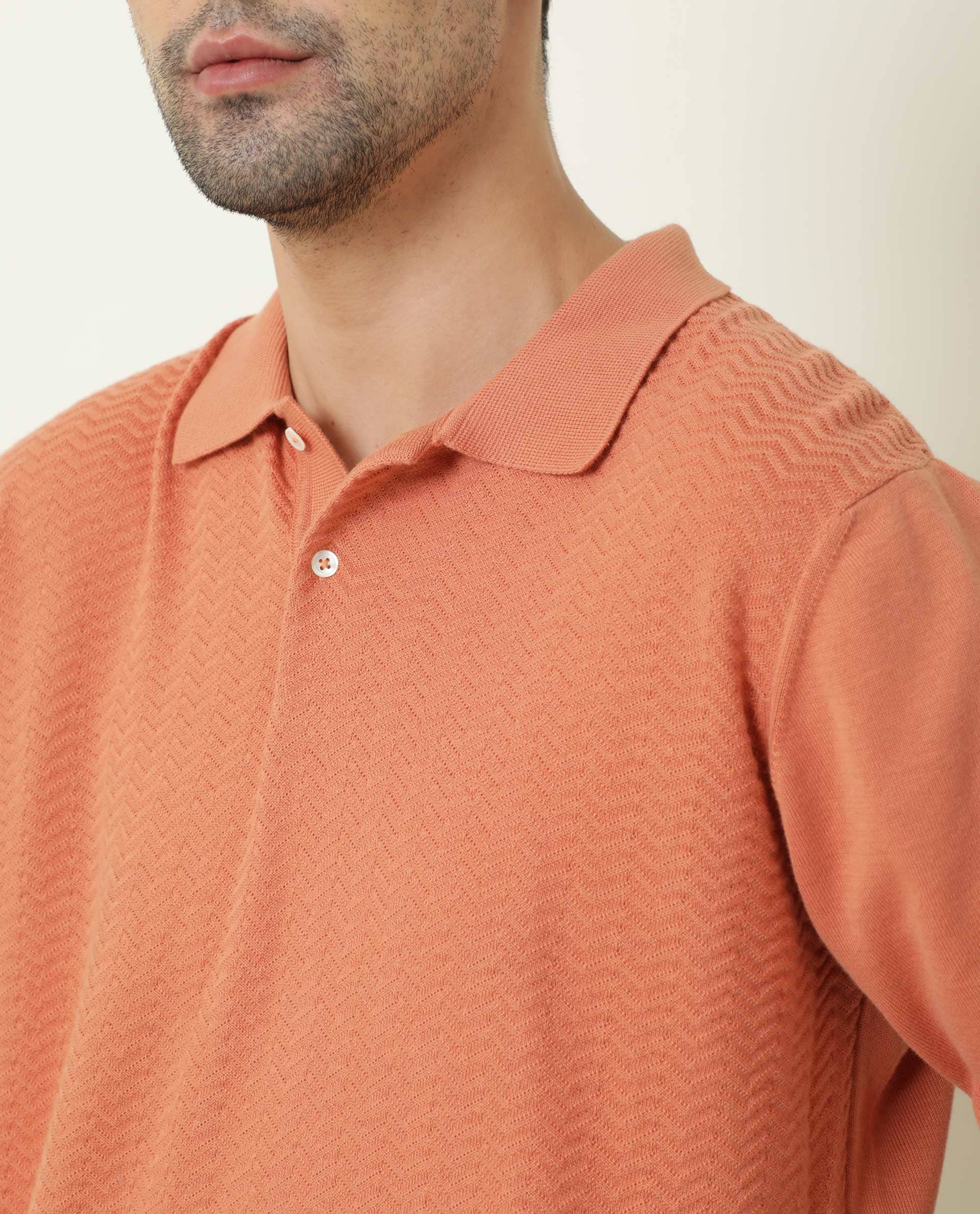 Rare Rabbit Men's Present Orange Cotton Fabric Full Sleeves Textured Polo T-Shirt
