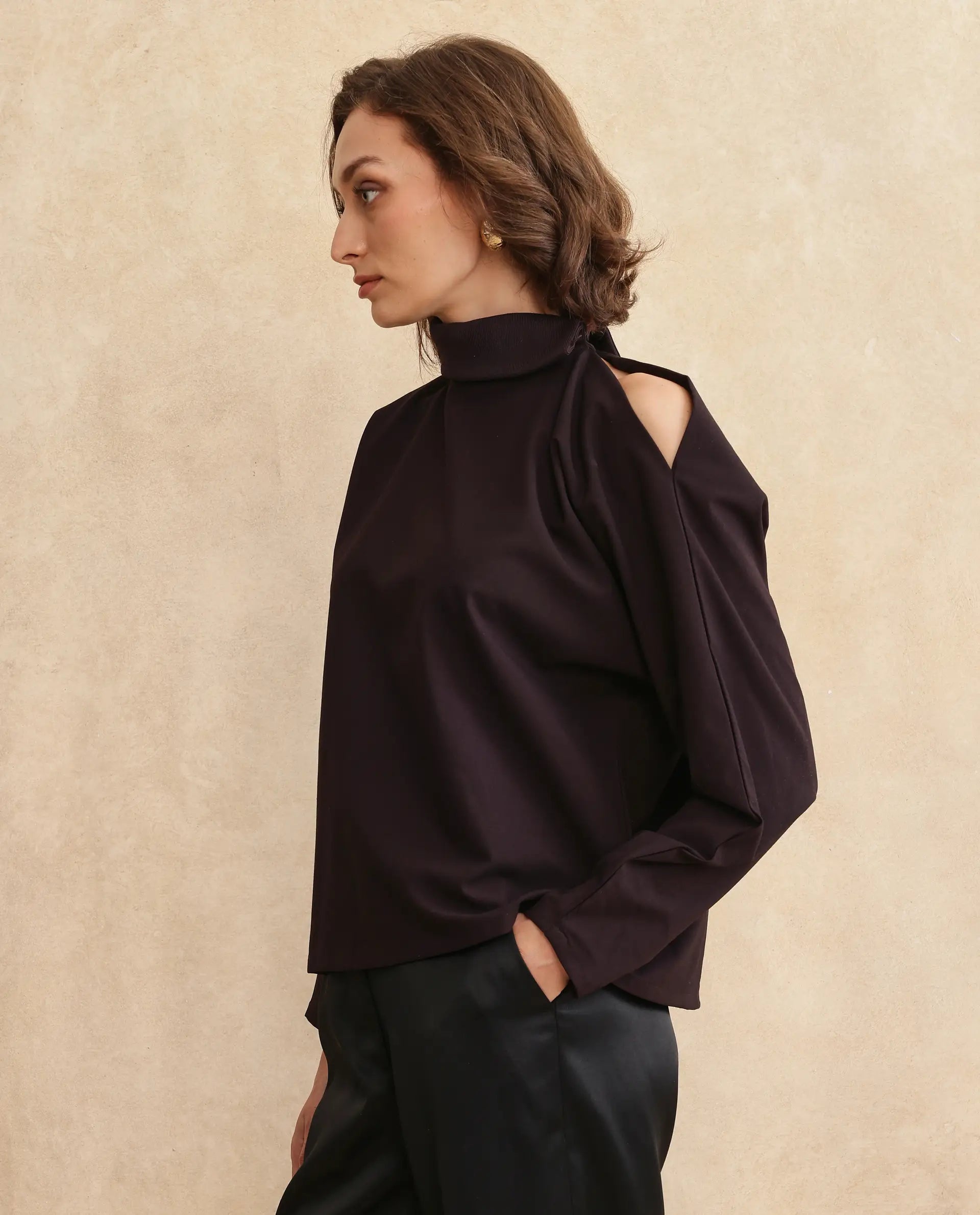 Rareism Women Natta Rust Regular Sleeve High Neck Regular Fit Plain Top