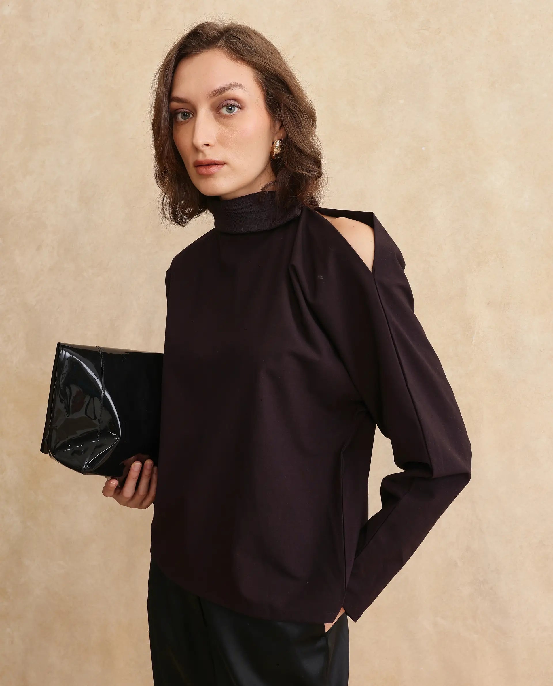 Rareism Women Natta Rust Regular Sleeve High Neck Regular Fit Plain Top