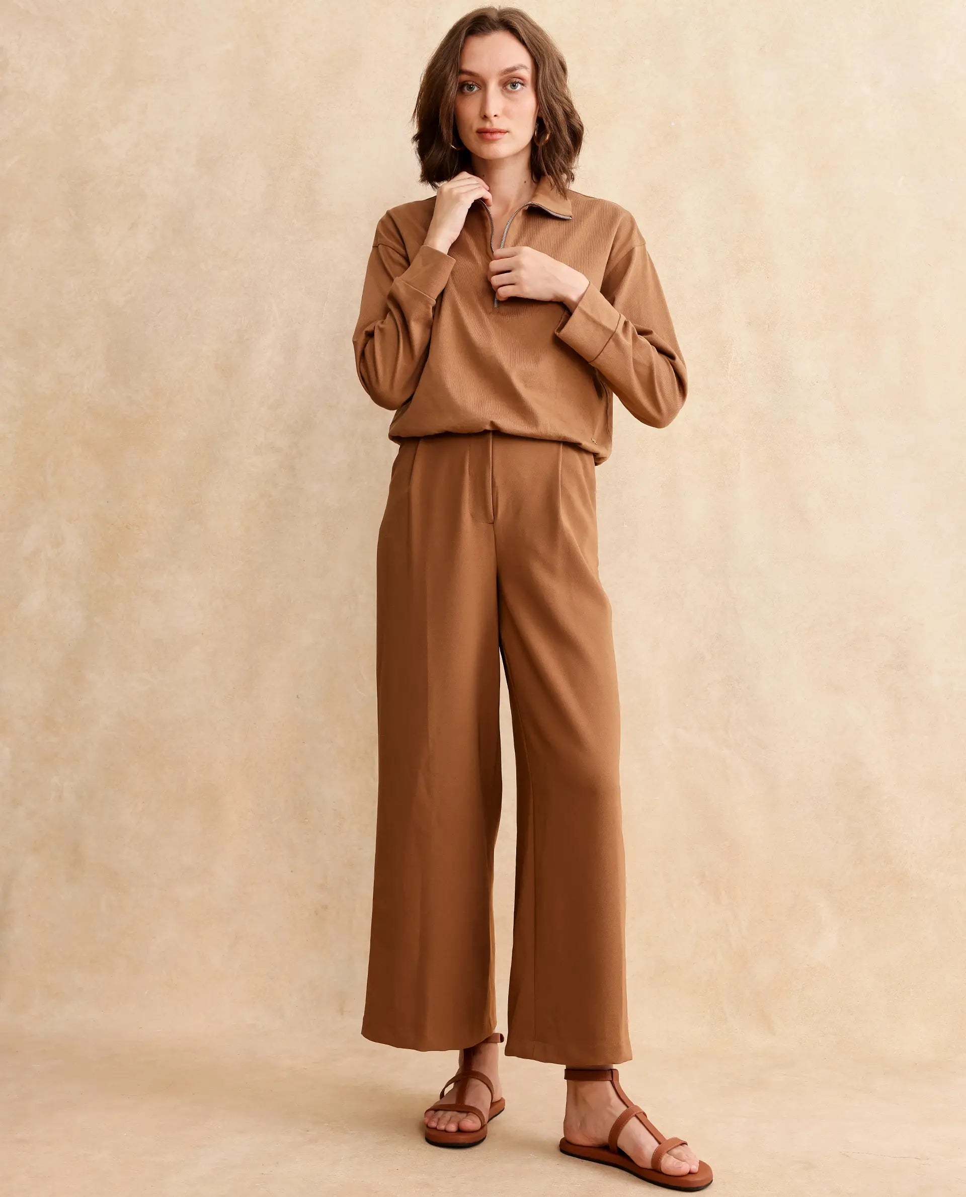 Rareism Women Velma Dark Beige Full Sleeve Collared Neck Zipper Closure Relaxed Fit Cropped Plain Top