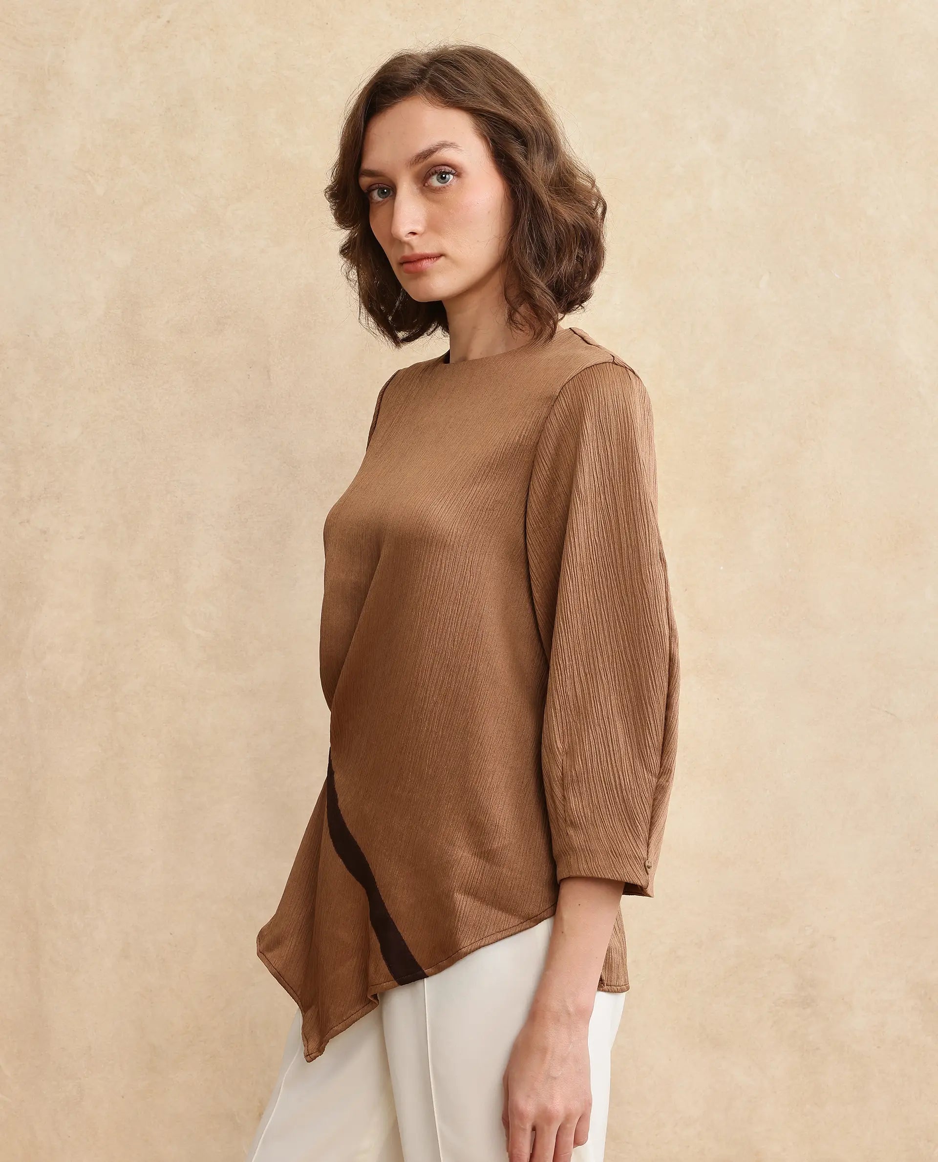 Rareism Women Yan Brown Volume Sleeve Round Neck Zipper Closure Regular Fit Plain Top