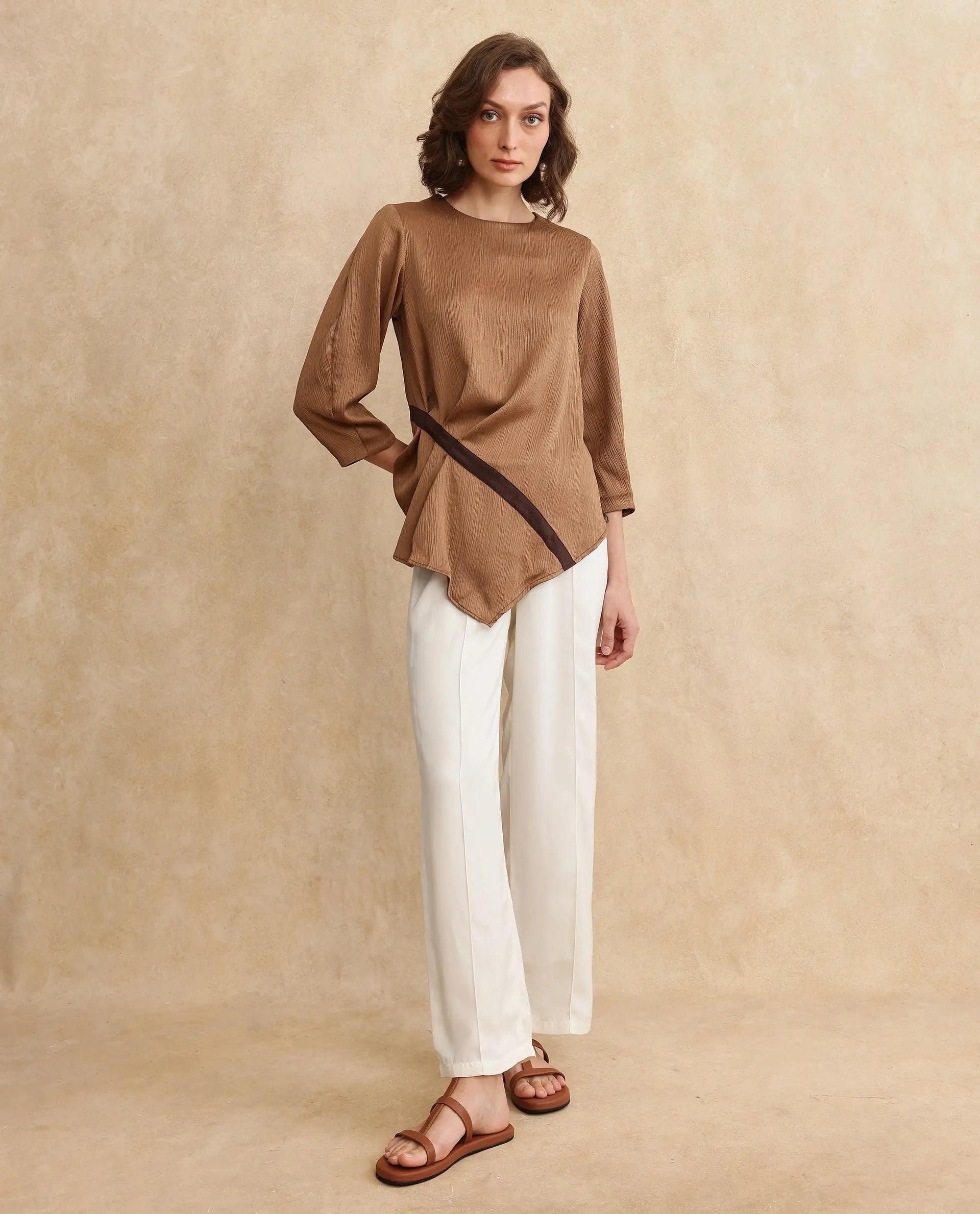 Rareism Women Yan Brown Volume Sleeve Round Neck Zipper Closure Regular Fit Plain Top